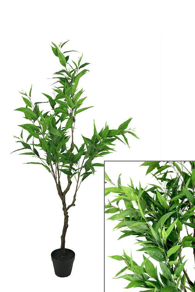 GGREENERY GGREENERIES GGREENERIE ARTIFICIAL ARTIFICIALS FLOWER FLOWERS PLANT PLANTS SYNTHETIC SYNTHETICS FAKE FAKES SILK SILKS PLASTIC PLASTICS POT POTS POTTED POTTEDS TREE TREES MEDIUM MEDIA CITRUS CITRU