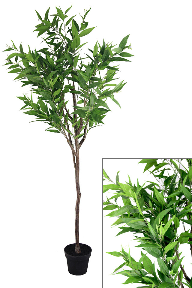 GGREENERY GGREENERIES GGREENERIE ARTIFICIAL ARTIFICIALS FLOWER FLOWERS PLANT PLANTS SYNTHETIC SYNTHETICS FAKE FAKES SILK SILKS PLASTIC PLASTICS POT POTS POTTED POTTEDS TREE TREES LARGE LARGES CITRUS CITRU
