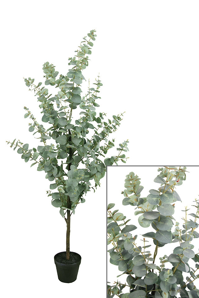 GGREENERY GGREENERIES GGREENERIE ARTIFICIAL ARTIFICIALS FLOWER FLOWERS PLANT PLANTS SYNTHETIC SYNTHETICS FAKE FAKES SILK SILKS PLASTIC PLASTICS POT POTS POTTED POTTEDS TREE TREES GUM GUMS EUCALYPT EUCALYPTS EUCALYPTUS EUCALYPTU NATIVE NATIVES MEDIUM MEDIA BLUE BLUES