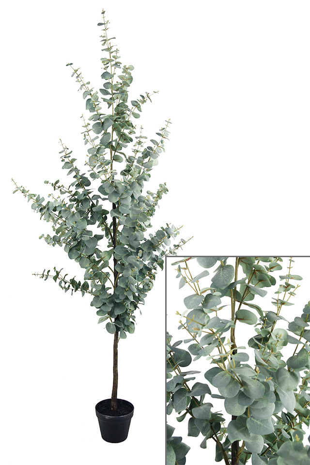 GGREENERY GGREENERIES GGREENERIE ARTIFICIAL ARTIFICIALS FLOWER FLOWERS PLANT PLANTS SYNTHETIC SYNTHETICS FAKE FAKES SILK SILKS PLASTIC PLASTICS POT POTS POTTED POTTEDS TREE TREES GUM GUMS EUCALYPT EUCALYPTS EUCALYPTUS EUCALYPTU NATIVE NATIVES LARGE LARGES BLUE BLUES