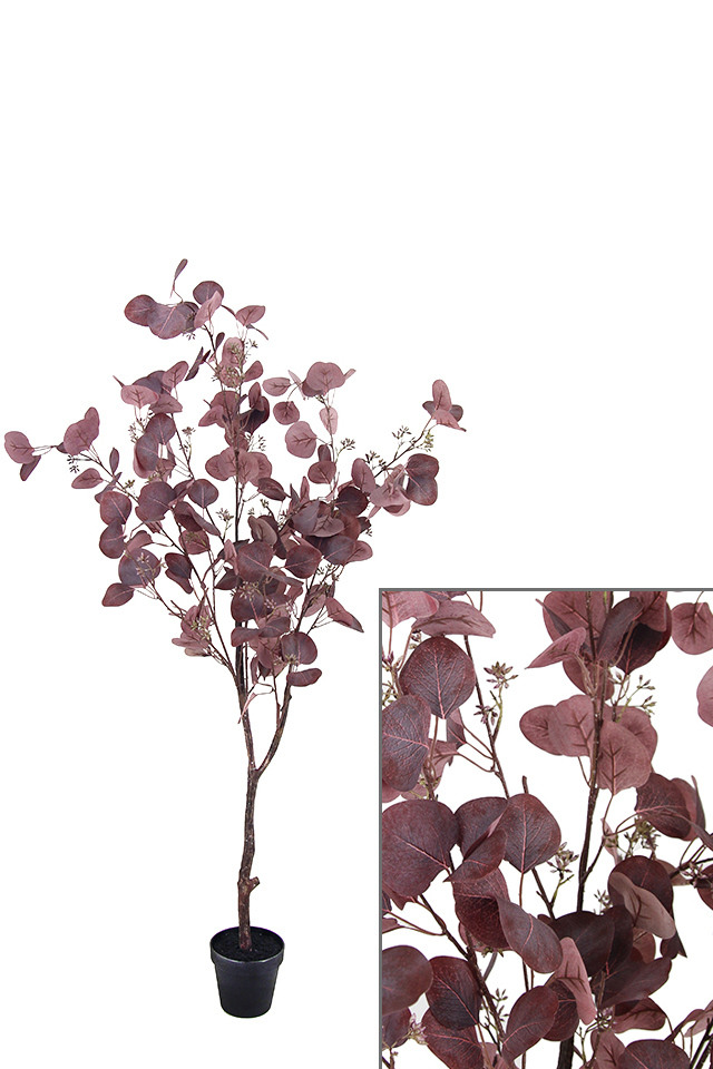 GGREENERY GGREENERIES GGREENERIE ARTIFICIAL ARTIFICIALS FLOWER FLOWERS PLANT PLANTS SYNTHETIC SYNTHETICS FAKE FAKES SILK SILKS PLASTIC PLASTICS POT POTS POTTED POTTEDS TREE TREES GUM GUMS EUCALYPT EUCALYPTS EUCALYPTUS EUCALYPTU NATIVE NATIVES SMALL SMALLS DOLLAR DOLLARS