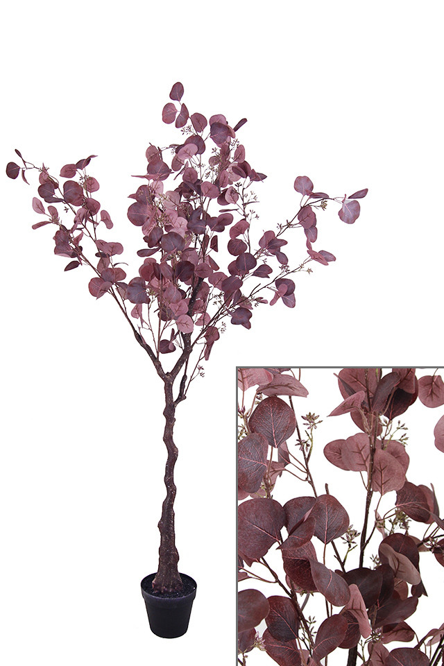 GGREENERY GGREENERIES GGREENERIE ARTIFICIAL ARTIFICIALS FLOWER FLOWERS PLANT PLANTS SYNTHETIC SYNTHETICS FAKE FAKES SILK SILKS PLASTIC PLASTICS POT POTS POTTED POTTEDS TREE TREES GUM GUMS EUCALYPT EUCALYPTS EUCALYPTUS EUCALYPTU NATIVE NATIVES MEDIUM MEDIA DOLLAR DOLLARS