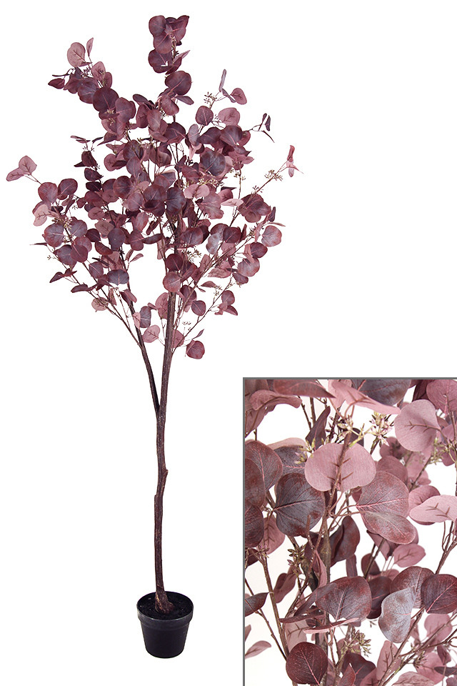 GGREENERY GGREENERIES GGREENERIE ARTIFICIAL ARTIFICIALS FLOWER FLOWERS PLANT PLANTS SYNTHETIC SYNTHETICS FAKE FAKES SILK SILKS PLASTIC PLASTICS POT POTS POTTED POTTEDS TREE TREES GUM GUMS EUCALYPT EUCALYPTS EUCALYPTUS EUCALYPTU NATIVE NATIVES LARGE LARGES DOLLAR DOLLARS