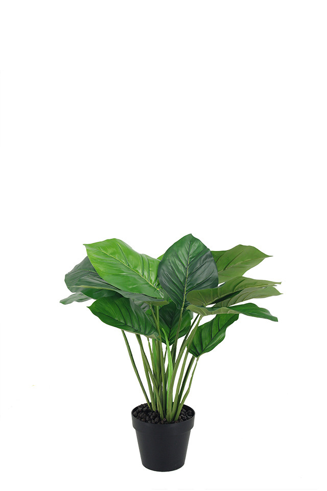 GGREENERY GGREENERIES GGREENERIE ARTIFICIAL ARTIFICIALS FLOWER FLOWERS PLANT PLANTS SYNTHETIC SYNTHETICS FAKE FAKES SILK SILKS PLASTIC PLASTICS POT POTS POTTED POTTEDS TREE TREES BOP BOPS LEAF LEAFS LEAVES LEAFE LEAVE STERLIZIA STERLIZIUM OF OFS PARADISE PARADISES BANANA BANANAS TARO TAROS PHILODENDRON PHILODENDRONS PHILO PHILOS GREENERY GREENERIES GREENERIE