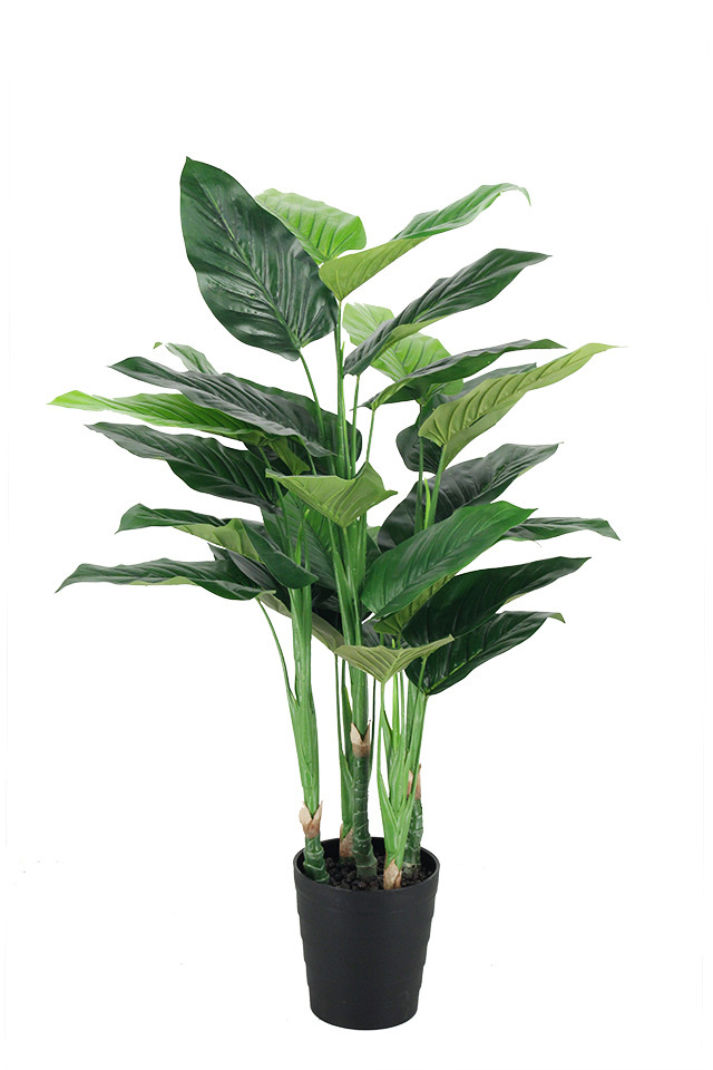 GGREENERY GGREENERIES GGREENERIE ARTIFICIAL ARTIFICIALS FLOWER FLOWERS PLANT PLANTS SYNTHETIC SYNTHETICS FAKE FAKES SILK SILKS PLASTIC PLASTICS POT POTS POTTED POTTEDS TREE TREES BOP BOPS LEAF LEAFS LEAVES LEAFE LEAVE STERLIZIA STERLIZIUM OF OFS PARADISE PARADISES BANANA BANANAS TARO TAROS PHILODENDRON PHILODENDRONS PHILO PHILOS GREENERY GREENERIES GREENERIE