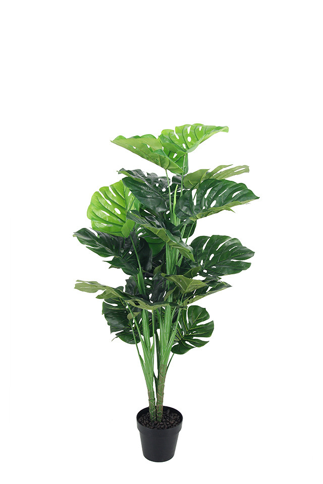 GGREENERY GGREENERIES GGREENERIE ARTIFICIAL ARTIFICIALS FLOWER FLOWERS PLANT PLANTS SYNTHETIC SYNTHETICS FAKE FAKES SILK SILKS PLASTIC PLASTICS POT POTS POTTED POTTEDS TREE TREES BOP BOPS LEAF LEAFS LEAVES LEAFE LEAVE STERLIZIA STERLIZIUM OF OFS PARADISE PARADISES BANANA BANANAS TARO TAROS PHILODENDRON PHILODENDRONS PHILO PHILOS MONSTERIA MONSTERIUM GREENERY GREENERIES GREENERIE MONSTERA MONSTERAS