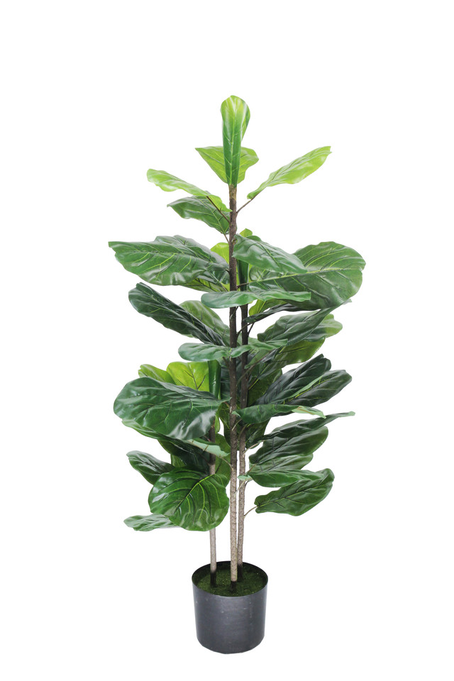 GGREENERY GGREENERIES GGREENERIE ARTIFICIAL ARTIFICIALS FLOWER FLOWERS PLANT PLANTS SYNTHETIC SYNTHETICS FAKE FAKES SILK SILKS PLASTIC PLASTICS POT POTS POTTED POTTEDS TREE TREES FIDDLE FIDDLES GREENERY GREENERIES GREENERIE FIG FIGS FICUS FICU LYRATA LYRATUM