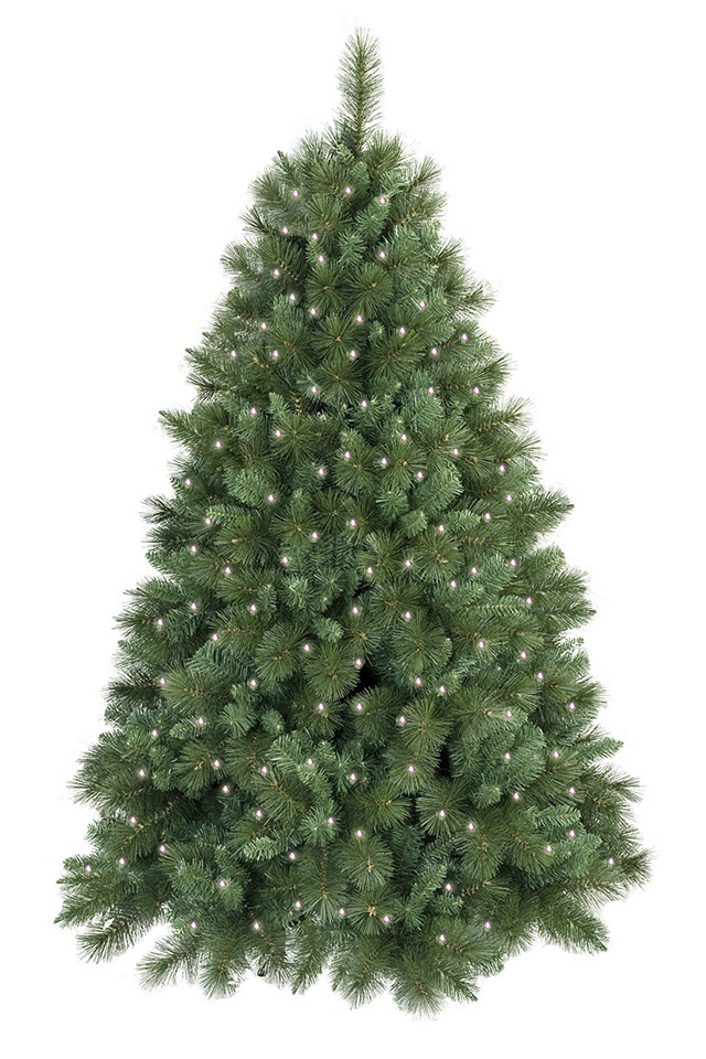 GGREENERY GGREENERIES GGREENERIE ARTIFICIAL ARTIFICIALS FLOWER FLOWERS PLANT PLANTS SYNTHETIC SYNTHETICS FAKE FAKES SILK SILKS PLASTIC PLASTICS TREE TREES XMAS XMA CHRISTMAS CHRISTMA LED LEDS FAIRY FAIRIES FAIRIE DELUXE DELUXES DELUX INC INCS