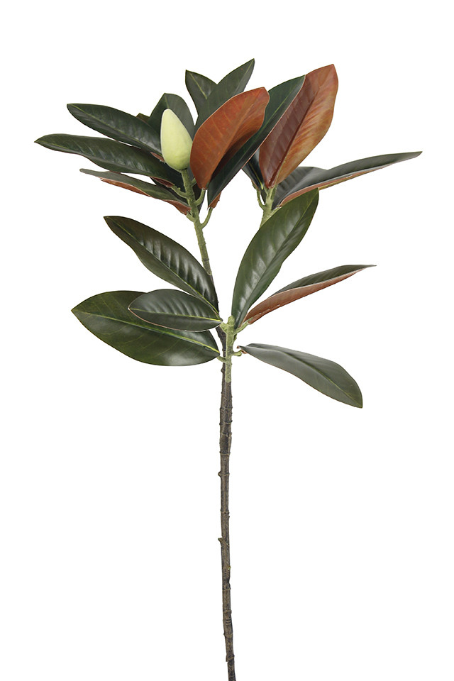 GGREENERY GGREENERIES GGREENERIE MAGNOLIA MAGNOLIUM ARTIFICIAL ARTIFICIALS FLOWERS FLOWER FAKE FAKES IMITATION IMITATIONS ART ARTS GREEN GREENS LEAVES LEAFE LEAVE LEAF LEAFS TROPICAL TROPICALS SPRAY SPRAYS SPRAIE FOLIAGE FOLIAGES BRANCH BRANCHES STEM STEMS GREENERY GREENERIES GREENERIE DELUXE DELUXES DELUX