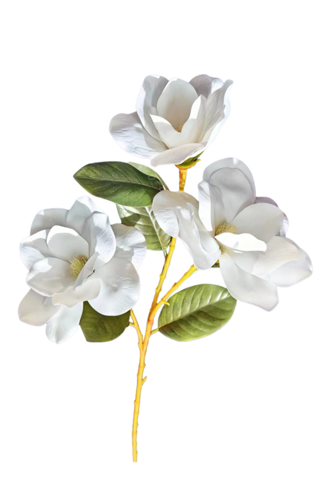 MAGNOLIA MAGNOLIUM ARTIFICIAL ARTIFICIALS FLOWERS FLOWER FAKE FAKES IMITATION IMITATIONS ART ARTS GREEN GREENS LEAVES LEAFE LEAVE LEAF LEAFS TROPICAL TROPICALS SPRAY SPRAYS SPRAIE FOLIAGE FOLIAGES BRANCH BRANCHES STEM STEMS GREENERY GREENERIES GREENERIE DELUXE DELUXES DELUX