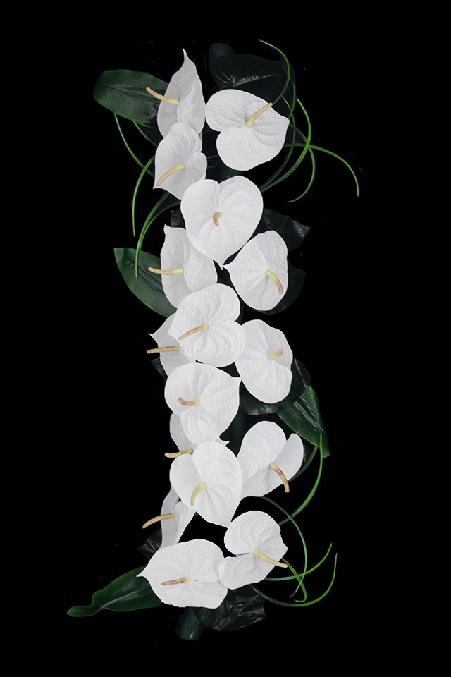 ARTIFICIAL ARTIFICIALS FLOWER FLOWERS PANEL PANELS ANTHURIUM ANTHURIA LEAF LEAFS LEAVES LEAFE LEAVE ROLL ROLLS TUBE TUBES SPRAY SPRAYS SPRAIE GARLAND GARLANDS