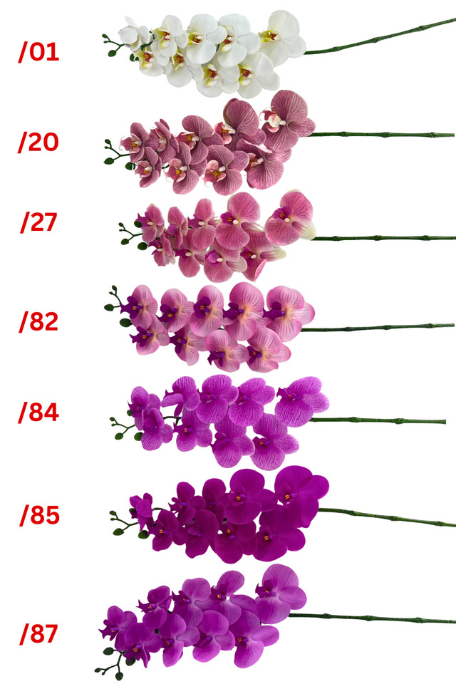 PHALAENOPSIS PHALAENOPSI PHALAENOPSES PHALAENOPSE ORDCHID ORDCHIDS HEADS HEAD BUDS BUD 115CM 115CMS ARTIFICIAL ARTIFICIALS FLOWERS FLOWER ORCHID ORCHIDS