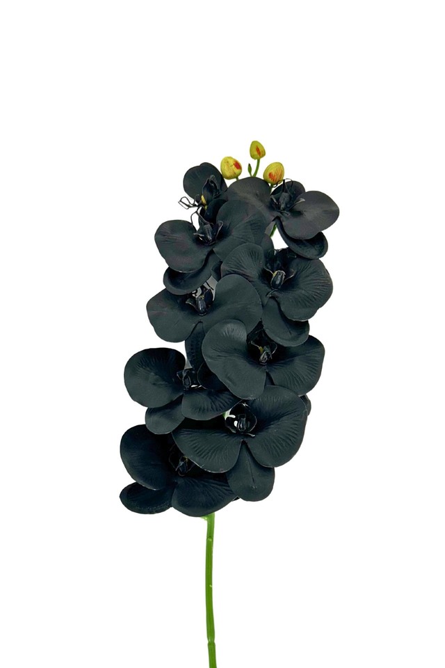 PHALAENOPSIS PHALAENOPSI PHALAENOPSES PHALAENOPSE FLOWER FLOWERS ORDCHID ORDCHIDS HEADS HEAD BUDS BUD 115CM 115CMS ARTIFICIAL ARTIFICIALS ORCHID ORCHIDS