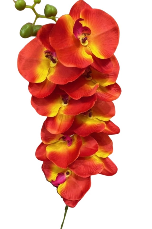 PHAELENOPSIS PHAELENOPSI PHAELENOPSES PHAELENOPSE ARTIFICIAL ARTIFICIALS FLOWERS FLOWER FAKE FAKES IMITATION IMITATIONS ART ARTS GREEN GREENS LEAVES LEAFE LEAVE LEAF LEAFS TROPICAL TROPICALS SPRAY SPRAYS SPRAIE FOLIAGE FOLIAGES BRANCH BRANCHES STEM STEMS GREENERY GREENERIES GREENERIE PHALAENOPSIS PHALAENOPSI PHALAENOPSES PHALAENOPSE