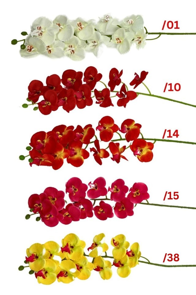 PHAELENOPSIS PHAELENOPSI PHAELENOPSES PHAELENOPSE ARTIFICIAL ARTIFICIALS FLOWERS FLOWER FAKE FAKES IMITATION IMITATIONS ART ARTS GREEN GREENS LEAVES LEAFE LEAVE LEAF LEAFS TROPICAL TROPICALS SPRAY SPRAYS SPRAIE FOLIAGE FOLIAGES BRANCH BRANCHES STEM STEMS GREENERY GREENERIES GREENERIE PHALAENOPSIS PHALAENOPSI PHALAENOPSES PHALAENOPSE