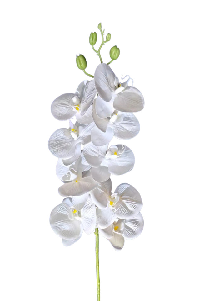 PHAELENOPSIS PHAELENOPSI PHAELENOPSES PHAELENOPSE ARTIFICIAL ARTIFICIALS FLOWERS FLOWER FAKE FAKES IMITATION IMITATIONS ART ARTS GREEN GREENS LEAVES LEAFE LEAVE LEAF LEAFS TROPICAL TROPICALS SPRAY SPRAYS SPRAIE FOLIAGE FOLIAGES BRANCH BRANCHES STEM STEMS GREENERY GREENERIES GREENERIE