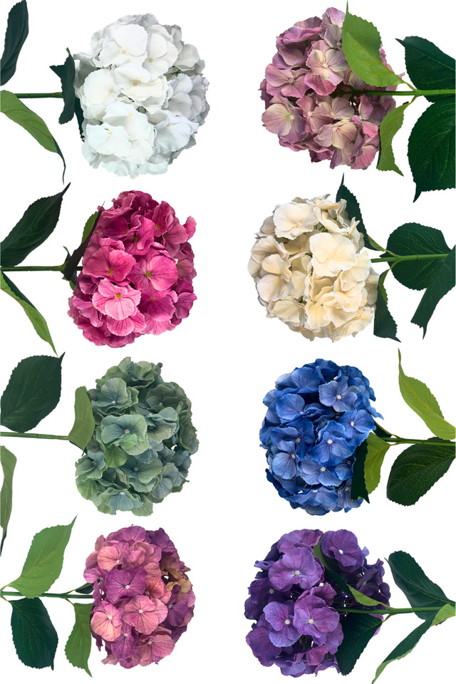 HYDRANGEA HYDRANGEAS FLOWER FLOWERS ARTIFICIAL ARTIFICIALS D PRINTED PRINTEDS