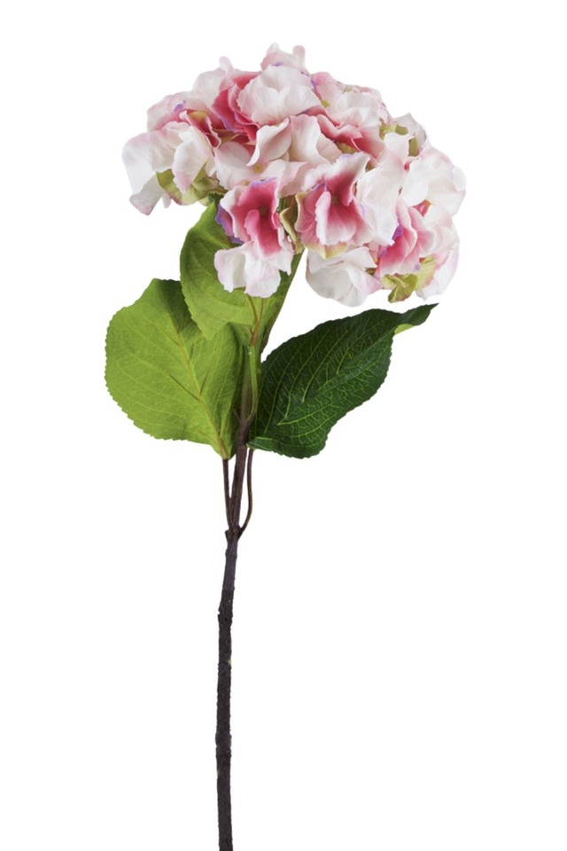 HYDRANGEA HYDRANGEAS FLOWER FLOWERS ARTIFICIAL ARTIFICIALS DELUXE DELUXES DELUX