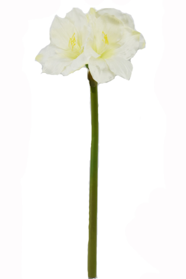 HIPPEASTRUM HIPPEASTRUMS FLOWER FLOWERS ARTIFICIAL ARTIFICIALS MISC MISCS