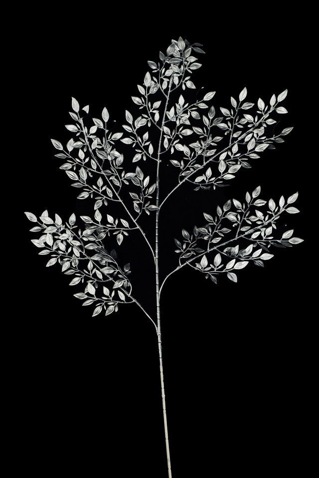 FLOWER FLOWERS ARTIFICIAL ARTIFICIALS SPRAY SPRAYS SPRAIE STEM STEMS SILVER SILVERS SOLID SOLIDS ITALIAN ITALIANS RUSCUS RUSCU WITH WITHS LEAF LEAFS