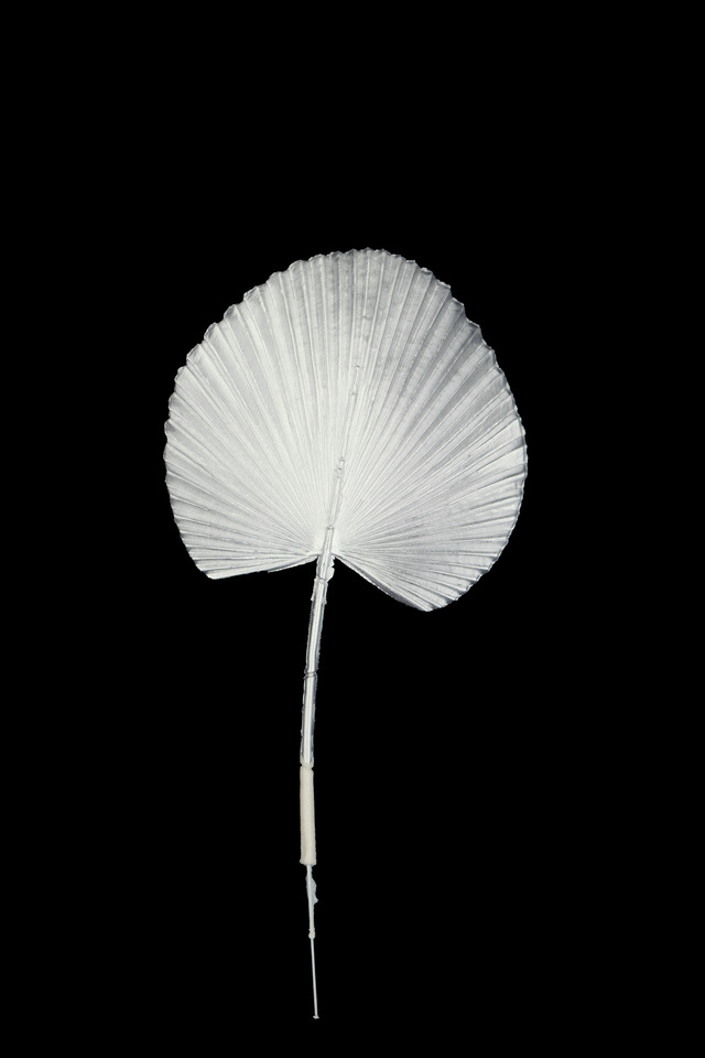 FLOWER FLOWERS ARTIFICIAL ARTIFICIALS SPRAY SPRAYS SPRAIE STEM STEMS SILVER SILVERS SOLID SOLIDS MEDIUM MEDIA FAN FANS PALM PALMS