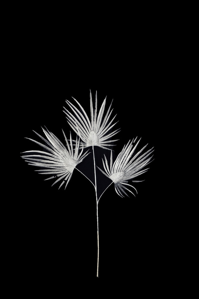 FLOWER FLOWERS ARTIFICIAL ARTIFICIALS SPRAY SPRAYS SPRAIE STEM STEMS SILVER SILVERS SOLID SOLIDS PALM PALMS LEAF LEAFS