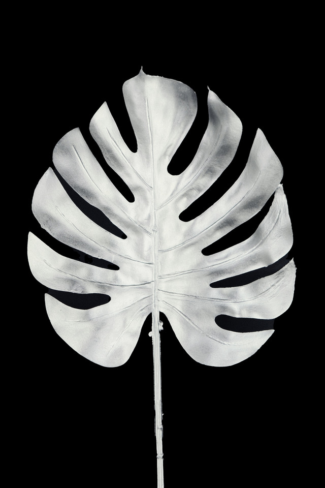 FLOWER FLOWERS ARTIFICIAL ARTIFICIALS SPRAY SPRAYS SPRAIE STEM STEMS SILVER SILVERS SOLID SOLIDS MONSTERA MONSTERAS SPLIT SPLITS PHILO PHILOS LEAF LEAFS