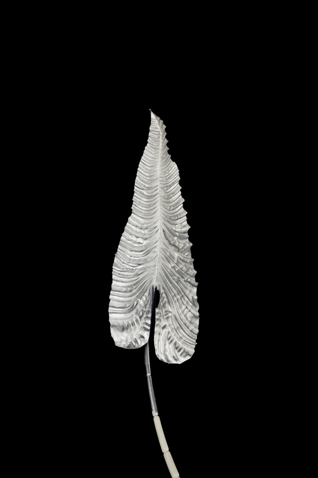 FLOWER FLOWERS ARTIFICIAL ARTIFICIALS SPRAY SPRAYS SPRAIE STEM STEMS SILVER SILVERS SOLID SOLIDS GIANT GIANTS ANTHURIUM ANTHURIA LEAF LEAFS
