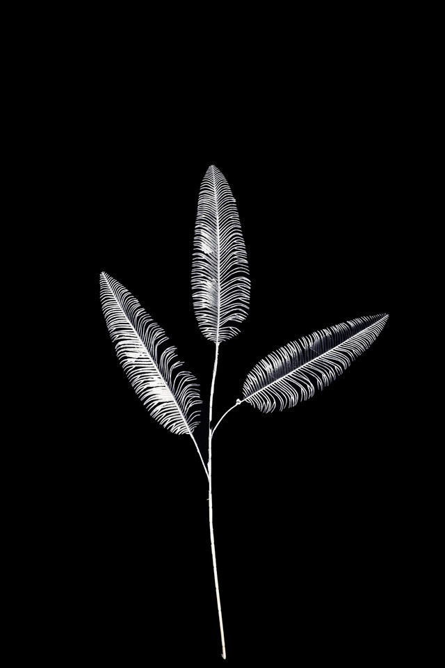 FLOWER FLOWERS ARTIFICIAL ARTIFICIALS SPRAY SPRAYS SPRAIE STEM STEMS SILVER SILVERS SOLID SOLIDS FERN FERNS