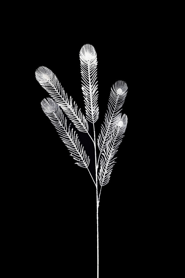 FLOWER FLOWERS ARTIFICIAL ARTIFICIALS SPRAY SPRAYS SPRAIE STEM STEMS SILVER SILVERS SOLID SOLIDS PEACOCK PEACOCKS FEATHER FEATHERS