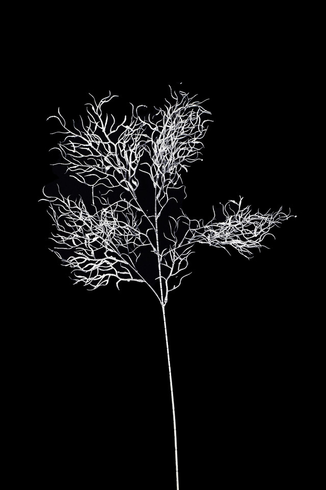 FLOWER FLOWERS ARTIFICIAL ARTIFICIALS SPRAY SPRAYS SPRAIE STEM STEMS SILVER SILVERS SOLID SOLIDS CURLY CURLIES CURLIE WILLOW WILLOWS BRANCH BRANCHES
