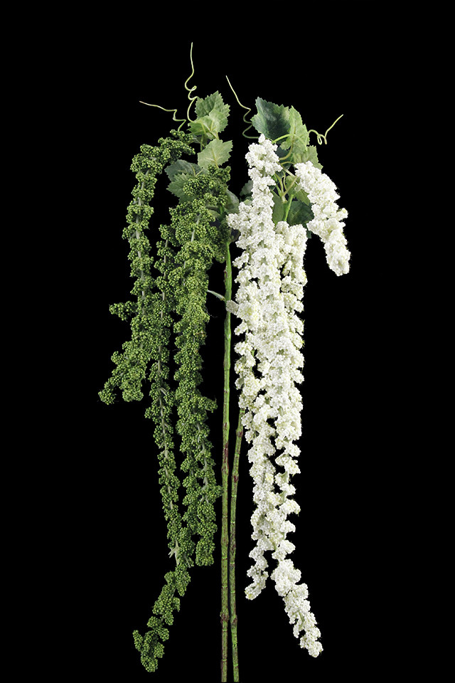 GGREENERY GGREENERIES GGREENERIE FLOWER FLOWERS AMARANTHUS AMARANTHU GARLAND GARLANDS TROPICAL TROPICALS HANGING HANGINGS TRAIL TRAILS ARTIFICIAL ARTIFICIALS GREENERY GREENERIES GREENERIE