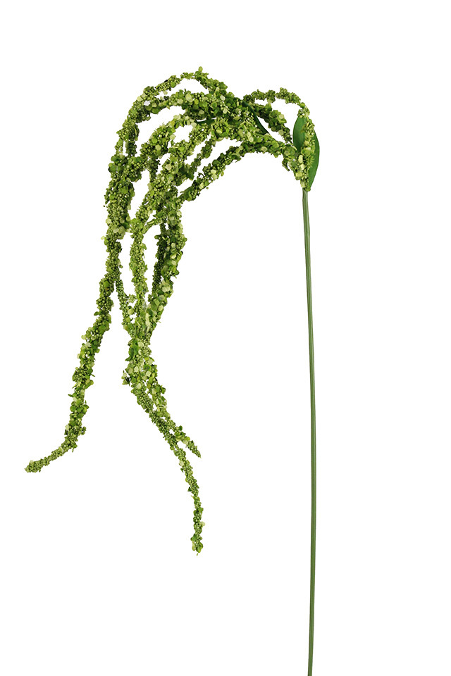 GGREENERY GGREENERIES GGREENERIE FLOWER FLOWERS AMARANTHUS AMARANTHU GARLAND GARLANDS TROPICAL TROPICALS HANGING HANGINGS TRAIL TRAILS ARTIFICIAL ARTIFICIALS GREENERY GREENERIES GREENERIE CHLOROPHYTUM CHLOROPHYTA STRING STRINGS GGARLAND GGARLANDS HEADS HEAD