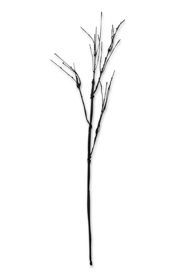 ARTIFICIAL ARTIFICIALS FLOWER FLOWERS PLANT PLANTS SYNTHETIC SYNTHETICS FAKE FAKES SILK SILKS PLASTIC PLASTICS STICK STICKS TWIG TWIGS WHIP WHIPS DODA DODAS BRANCH BRANCHES