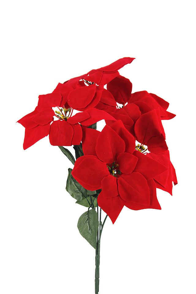POINTSETTIA POINTSETTIUM ARTIFICIAL ARTIFICIALS FLOWERS FLOWER PICK PICKS HEAD HEADS XMAS XMA CHRISTMAS CHRISTMA DECORATION DECORATIONS GLITTER GLITTERS METALLIC METALLICS SPRAY SPRAYS SPRAIE BUNCH BUNCHES POINSETTIA POINSETTIUM FFLOWER FFLOWERS