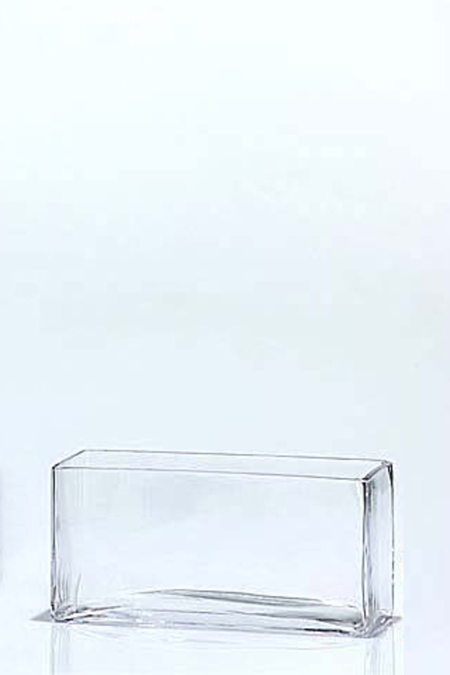GLASS GLASSES GLAS GLASSWARE GLASSWARES VASE VASES FLORIST FLORISTS FLOWER FLOWERS FLORAL FLORALS SQUARE SQUARES RECTANGLE RECTANGLES TABLE CENTRE TABLE CENTRES TANK TANKS TROUGH TROUGHS 23X8X11CMH 23X8X11CMHS SHAPES SHAPE TABLE TABLES CENTRE CENTRES CENTER