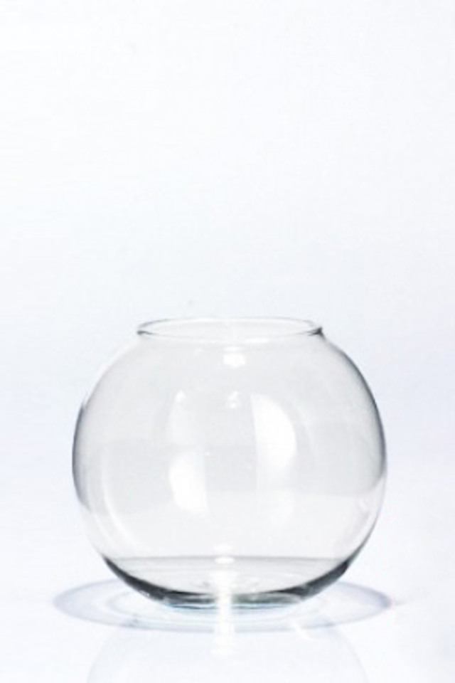 GLASS GLASSES GLAS GLASSWARE GLASSWARES VASE VASES FLORIST FLORISTS FLOWER FLOWERS FLORAL FLORALS SPHERE SPHERES FISH BOWL BOWLS VASE'PLAIN' VASE'PLAIN'S 20CM 20CMS PLAIN PLAINS
