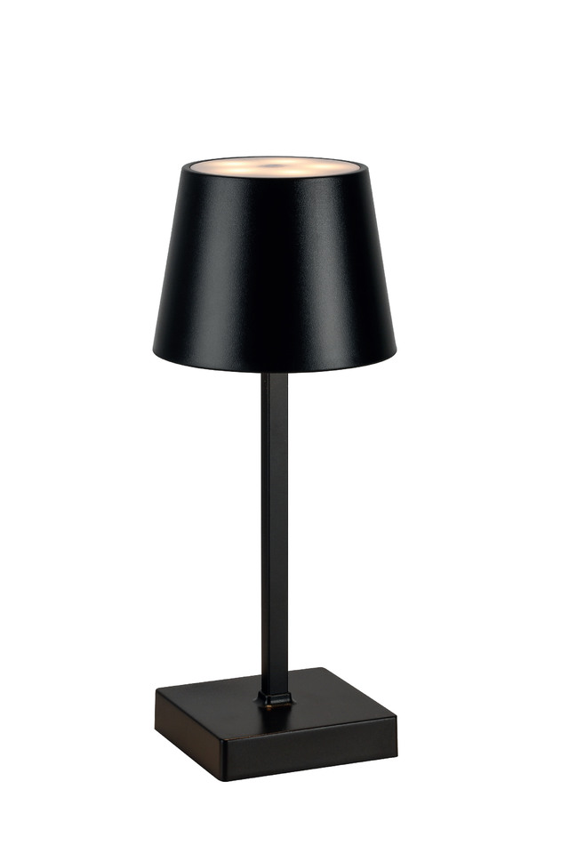 LIGHT LIGHTS LIGHTING LIGHTINGS PARTY PARTIES PARTIE RECEPTION RECEPTIONS FUNCTION FUNCTIONS WEDDING WEDDINGS EVENT EVENTS BATTERY BATTERIES BATTERIE LED LEDS OPERATED OPERATEDS WARM WARMS WHITE WHITES BRIDE BRIDES BRIDAL BRIDALS TABLE TABLES LAMP LAMPS CORDLESS CORDLESSES CORDLES