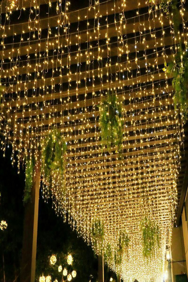LIGHT LIGHTS LIGHTING LIGHTINGS PARTY PARTIES PARTIE RECEPTION RECEPTIONS FUNCTION FUNCTIONS WEDDING WEDDINGS EVENT EVENTS LED LEDS CURTAIN CURTAINS SWAG SWAGS 24V 24VS STRAND STRANDS STRING STRINGS FAIRY FAIRIES FAIRIE 600XLED 600XLEDS 2MX3MH 2MX3MHS WARM WARMS WHITE WHITES BRIDE BRIDES BRIDAL BRIDALS