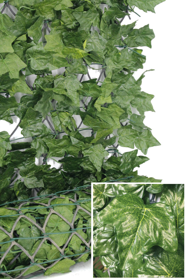 GGREENERY GGREENERIES GGREENERIE EVENT EVENTS FURNITURE FURNITURES OUTDOOR OUTDOORS OUT OUTS DOOR DOORS PARTY PARTIES PARTIE WEDDING WEDDINGS ARTIFICIAL ARTIFICIALS IVY IVIES IVIE ROLL ROLLS MATTING MATTINGS MAT MATS GREEN GREENS LEAF LEAFS LEAVES LEAFE LEAVE FOLIAGE FOLIAGES SCREENING SCREENINGS SCREEN SCREENS GREENERY GREENERIES GREENERIE UV UVS PROTECTED PROTECTEDS