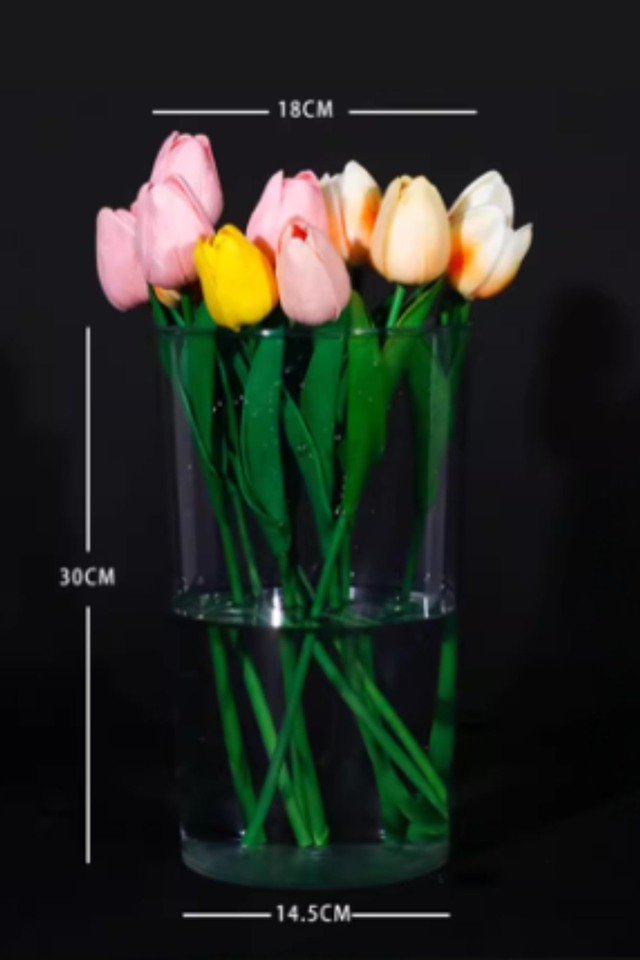 FLOWER FLOWERS POT POTS VASE VASES PET PETS CLEAR CLEARS PLASTIC PLASTICS DISPLAY DISPLAYS DISPLAIE SHOP SHOPS FLORIST FLORISTS FLORAL FLORALS CONTAINER CONTAINERS TROLLEY TROLLEYS TROLLEIE MEDIUM MEDIA ROUND ROUNDS