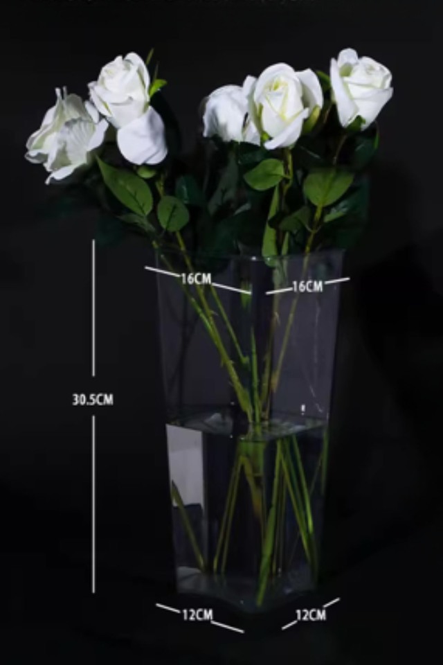 FLOWER FLOWERS POT POTS VASE VASES PET PETS CLEAR CLEARS PLASTIC PLASTICS DISPLAY DISPLAYS DISPLAIE SHOP SHOPS FLORIST FLORISTS FLORAL FLORALS CONTAINER CONTAINERS TROLLEY TROLLEYS TROLLEIE MEDIUM MEDIA SQUARE SQUARES