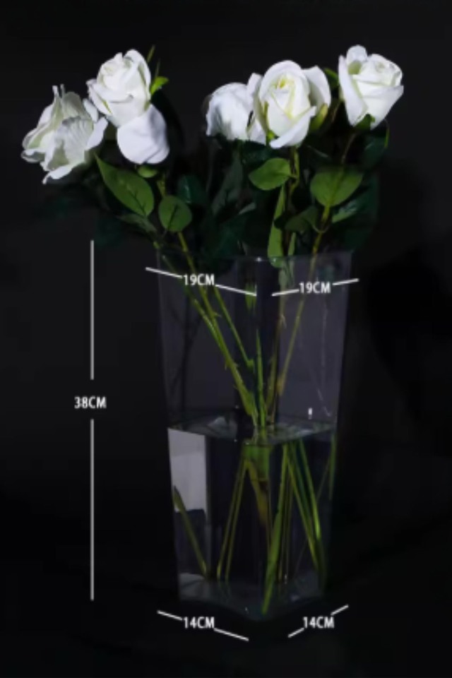 FLOWER FLOWERS POT POTS VASE VASES PET PETS CLEAR CLEARS PLASTIC PLASTICS DISPLAY DISPLAYS DISPLAIE SHOP SHOPS FLORIST FLORISTS FLORAL FLORALS CONTAINER CONTAINERS TROLLEY TROLLEYS TROLLEIE LARGE LARGES SQUARE SQUARES