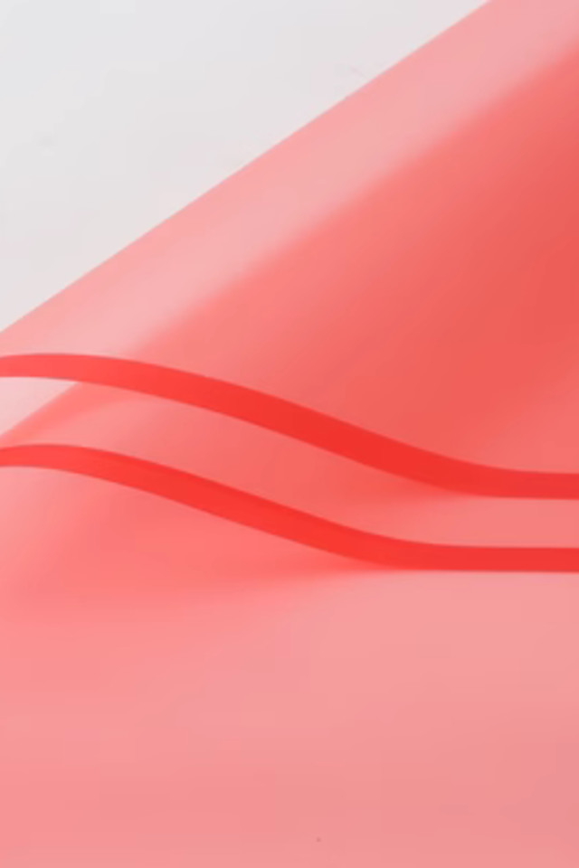 WRAP WRAPS FLOWER FLOWERS FLORIST FLORISTS GIFT GIFTS WRAPPING WRAPPINGS 20SHT 20SHTS 60CM 60CMS SHEET SHEETS PP PPS CELLO CELLOS BOPP BOPPS PLASTIC PLASTICS 2-TONE 2-TONES 2 TONE TONES FROSTED FROSTEDS WITH WITHS BORDER BORDERS OPP OPPS