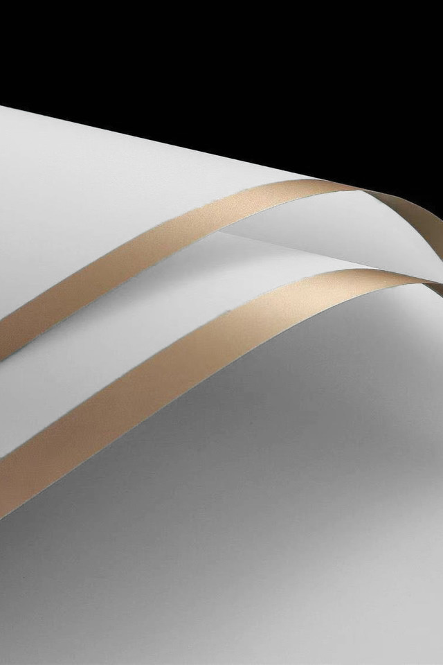 WRAP WRAPS FLOWER FLOWERS FLORIST FLORISTS GIFT GIFTS WRAPPING WRAPPINGS 20SHT 20SHTS 60CM 60CMS SHEET SHEETS PP PPS CELLO CELLOS BOPP BOPPS PLASTIC PLASTICS 2-TONE 2-TONES 2 TONE TONES FROSTED FROSTEDS WITH WITHS GOLD GOLDS BORDER BORDERS OPP OPPS