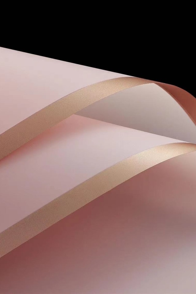 WRAP WRAPS FLOWER FLOWERS FLORIST FLORISTS GIFT GIFTS WRAPPING WRAPPINGS 20SHT 20SHTS 60CM 60CMS SHEET SHEETS PP PPS CELLO CELLOS BOPP BOPPS PLASTIC PLASTICS 2-TONE 2-TONES 2 TONE TONES FROSTED FROSTEDS WITH WITHS GOLD GOLDS BORDER BORDERS OPP OPPS