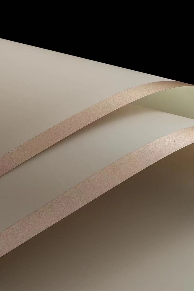 WRAP WRAPS FLOWER FLOWERS FLORIST FLORISTS GIFT GIFTS WRAPPING WRAPPINGS 20SHT 20SHTS 60CM 60CMS SHEET SHEETS PP PPS CELLO CELLOS BOPP BOPPS PLASTIC PLASTICS 2-TONE 2-TONES 2 TONE TONES FROSTED FROSTEDS WITH WITHS GOLD GOLDS BORDER BORDERS OPP OPPS