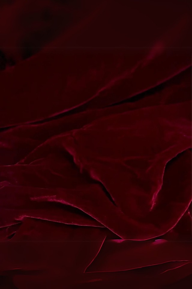 BACK BACKS DROP DROPS ROLLS ROLL DRAPING DRAPINGS DRAPE DRAPES BACKDROP BACKDROPS BRIDE BRIDES BRIDAL BRIDALS FABRIC FABRICS EVENT EVENTS MATERIAL MATERIALS WEDDING WEDDINGS CERISE CERISES SHIMMERY SHIMMERIES SHIMMERIE VELVET VELVETS GSM GSMS