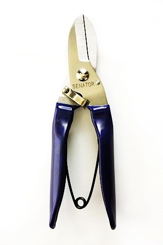 Scissors & Snips
